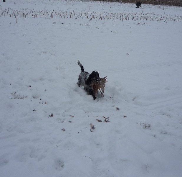 hon_konopiste (67).jpg